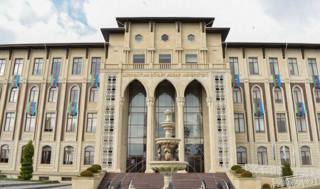 ADAU-da müəllimlərin kütləvi ixtisarı aparıldı