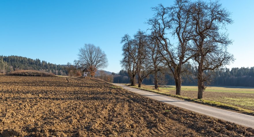 Azərbaycanda məmurların torpağı əllərindən alınacaq