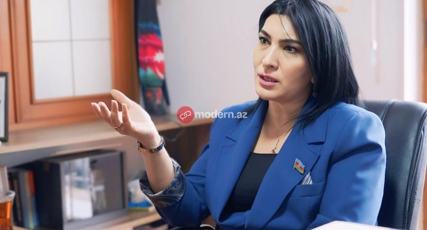 Deputatların da kitabına&nbsp;tənqidçi kimi yanaşacağam&nbsp;- MÜSAHİBƏ