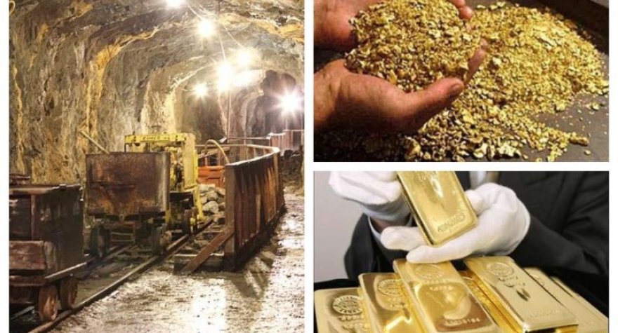 Ölkəmizə hər gün&nbsp;milyonlarla dollar qazandırır&nbsp;- REYTİNQ