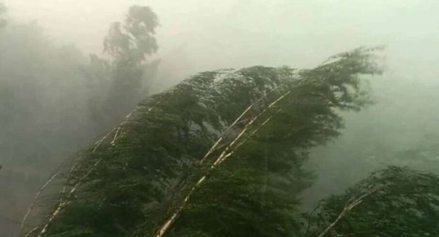 Azərbaycanda güclü külək əsəcək - XƏBƏRDARLIQ