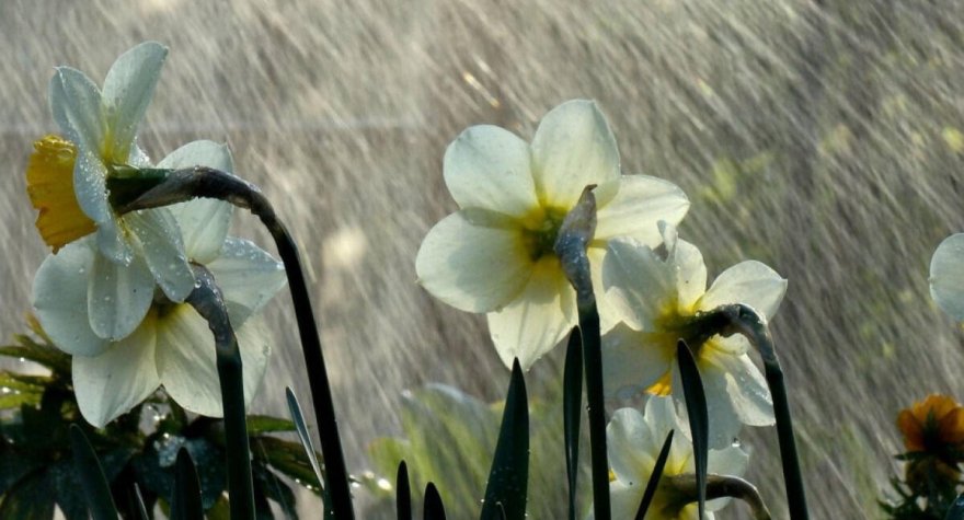 Bayram günü leysan olacaq, qar yağacaq, sel keçəcək -&nbsp;XƏBƏRDARLIQ