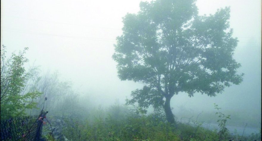 Bölgələrdə yağış, Bakıda duman - FAKTİKİ HAVA