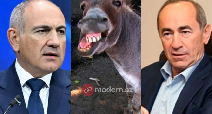 Paşinyandan Koçaryana&nbsp;təklif: Eşşək kimi anqır