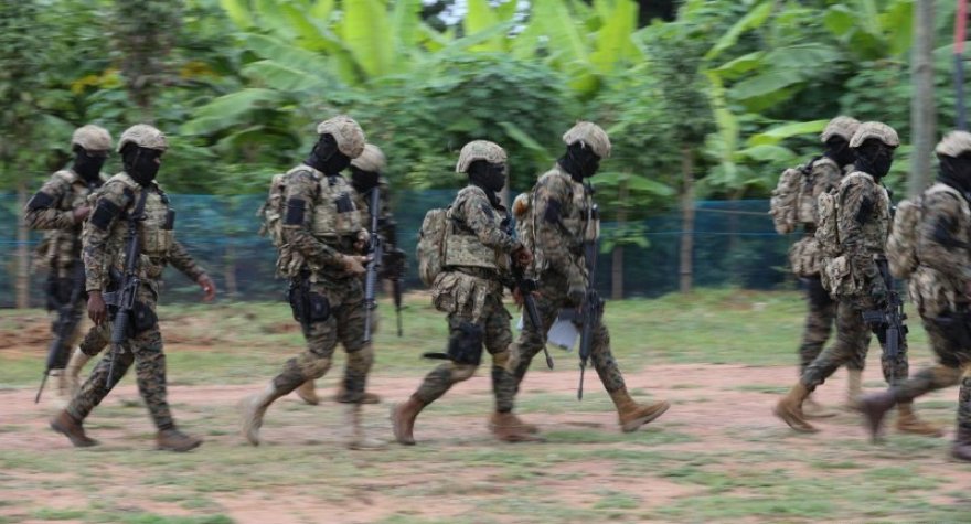 Terror təşkilatı yaradanlara 14 ilədək həbs təklif olunur&nbsp;