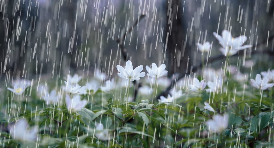 Hava ilə bağlı XƏBƏRDARLIQ EDİLDİ