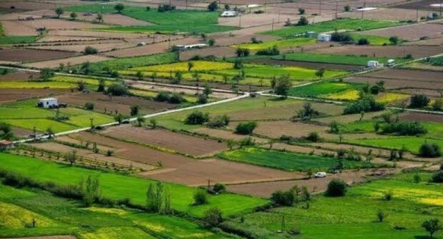 Vərəsələrin nəzərinə: Bölünə bilməyən&nbsp;torpaqlar&nbsp;satılacaq