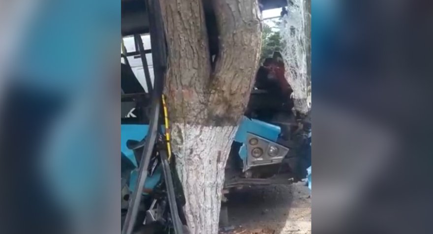 Bakıda avtobus&nbsp;ağaca çırpıldı, 11 nəfər yaralandı - VİDEO