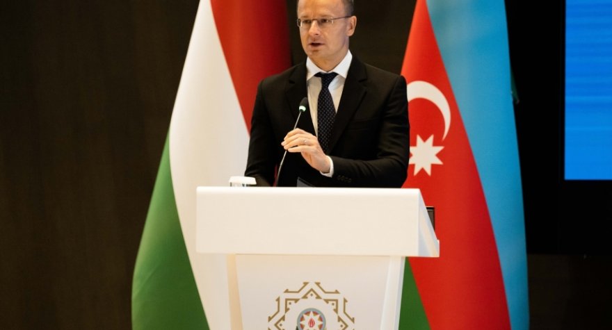 Azərbaycanın dostu barədə araşdırma başladı