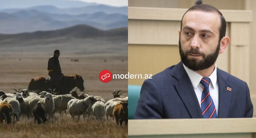 Mirzoyan azərbaycanlı çobanın Ermənistana keçməsindən danışdı