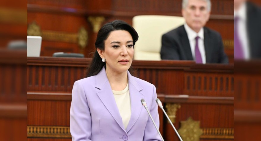 Ombudsmanın səlahiyyət müddəti bitir