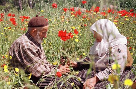 Azərbaycanda ildə 200-dən çox ağsaqqal və ağbirçək boşanır