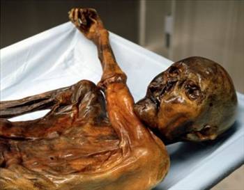 Lənət mumiyası və 7 sirli ölüm
