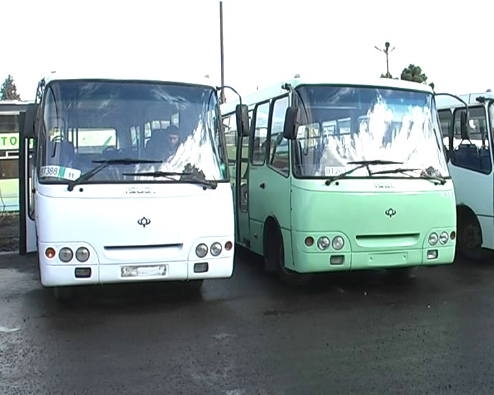 Gəncəyə yeni avtobuslar gətirildi