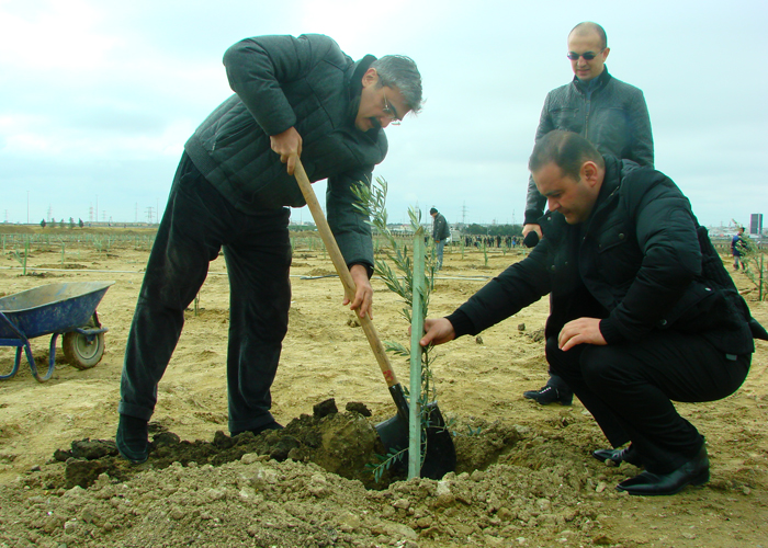 Nazir iməcilikdə iştirak edib (FOTO)