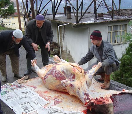 Hacıbala Abutalıbov Qurban bayramına hazırlıqla bağlı tapşırıq verib