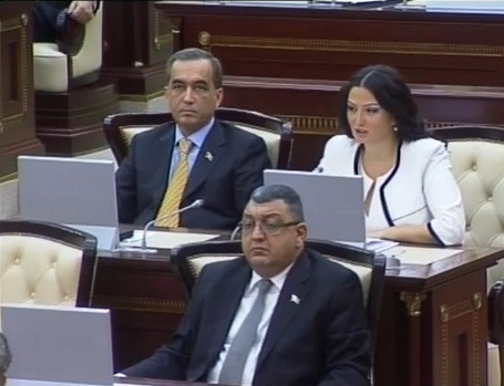 Qənirə Paşayeva da Fransa Senatına müraciət edilməsinin tərəfdarıdır 