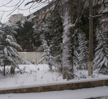 30 yanvarın hava proqnozu - Bakıda şaxta olacaq