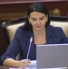 Deputat: "Türkiyə parlamentinə Xocalı hadisələrini soyqırımı kimi tanınması üçün müraciət edilib"
