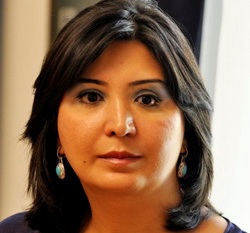 Aynur Camalqıznın saytlarına haker hücumları olub