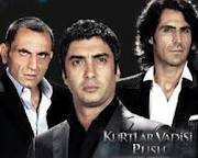 "Kurtlar Vadisi” yeni kanalda yayımlanacaq