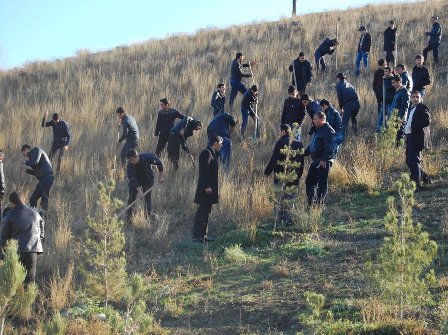 Gəncədə aksiya - FOTO