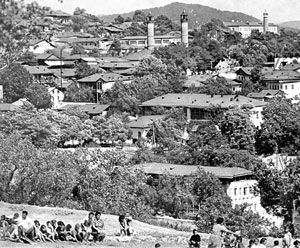 Qarabağı görməmişəm, onu ürəyimdə böyütmüşəm