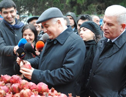 Nazir ərzaq yarmarkalarını gəzdi, bazarlıq etdi - FOTOLAR