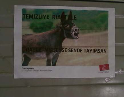“Eşşək” nazirlik əməkdaşının işdən çıxarılmasına səbəb oldu - FOTO