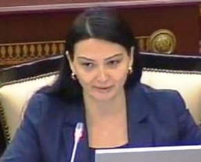 Qənirə Paşayeva: “Prezident səviyyəsində iradə ortaya qoyulub, məsələ niyə reallaşmır?”