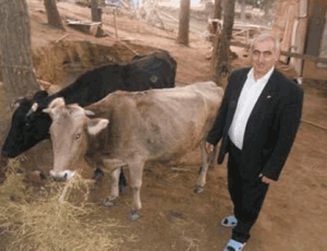 Əhməd Oruc hiddətləndi: “Başqa namizədlərin üzünü göstərirlər, mənim isə inəklərimi”
