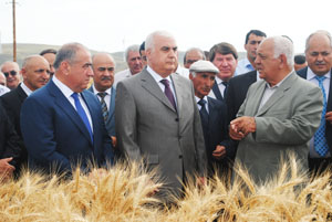 İsmət Abasov ümumrespublika tarla müşavirəsi keçirib