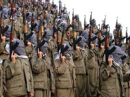 PKK Türkiyəyə qayıdır