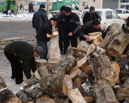 Ekologiya Nazirliyi: “Qış üçün 45 min kub metr həcmində odun tədarük olunacaq”