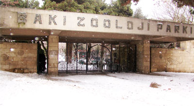 Zooparkın direktoru: “Heç yerə köçməyəcəyik”