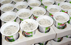 Dövlət Komitəsi “Halal Bərəkət” nişanlı süd məhsullarında pozuntu aşkarladı