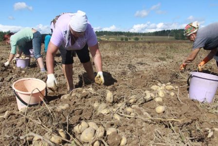 “Azərbaycanda kənd təsərrüfatı sahibsiz qalıb”