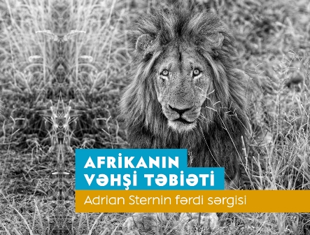 “Afrikanın vəhşi təbiəti” Heydər Əliyev Mərkəzində