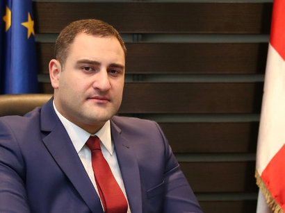 Gürcüstanın daxili işlər naziri Bakıya gəldi