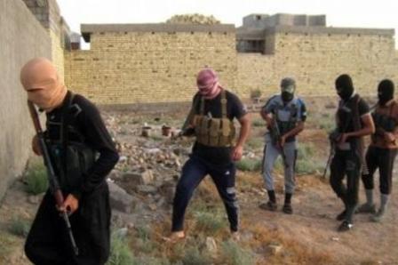 315 İŞİD terrorçusu öldürülüb 