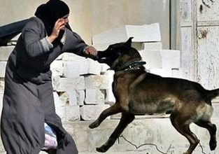 Hürmək istəmirsənsə quduz itdən qorun! - Respublika Taun Əleyhinə Stansiyadan AÇIQLAMA 