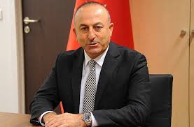  Türkiyəli nazir: “ İlham Əliyevin AŞPA-dakı nitqi Türkiyədə maraqla izləndi”
