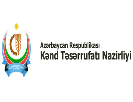 Kənd Təsərrüfatı Nazirliyi: “Pis hava şəraiti taxılın məhsuldarlığına mənfi təsir göstərib”