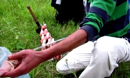 Ermənilər Kəlbəcərdən yeni VİDEO yaydılar