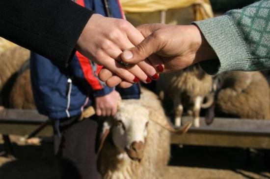 Qurban bayramında 4 gün iş olmayacaq