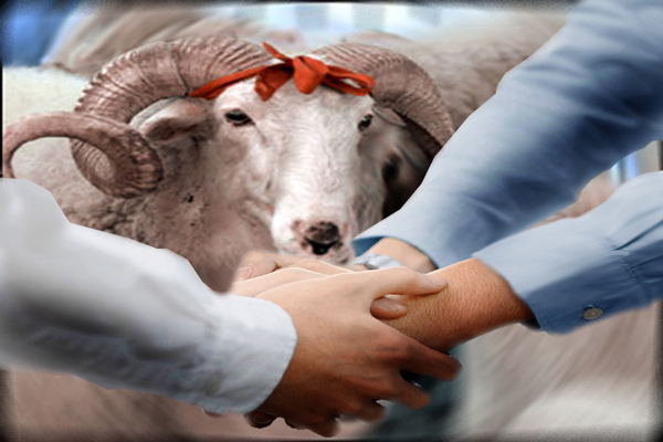 Qurban bayramı halallıq və birlikdir... 