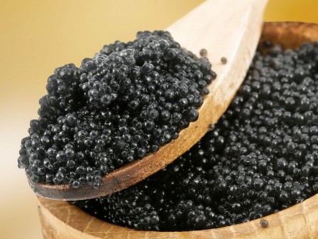 Ermənilər Qarabağda qara kürü yetişdirəcəklər