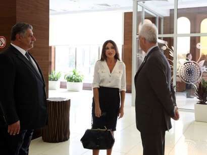 Mehriban Əliyeva Avropa Oyunları Əməliyyat Komitəsinin ofisində yaradılan şəraitlə tanış olub 