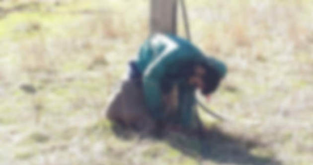 Türkiyədə PKK vəhşiliyi: Dirəyə bağlayıb güllələdilər 