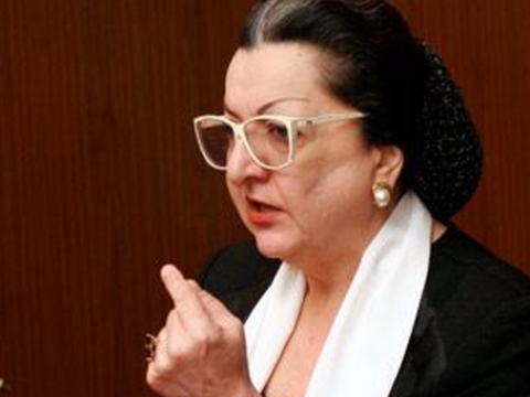 Lalə Şövkətin lideri olduğu hərəkatın gələcək planları AÇIQLANDI 